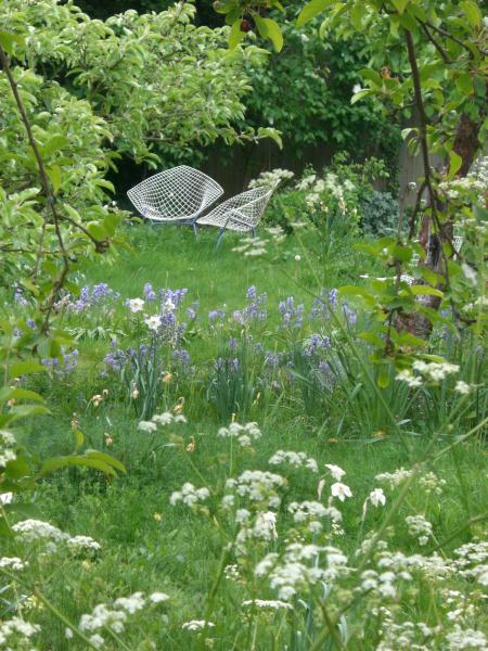 Bishop of Huntingdon's Garden